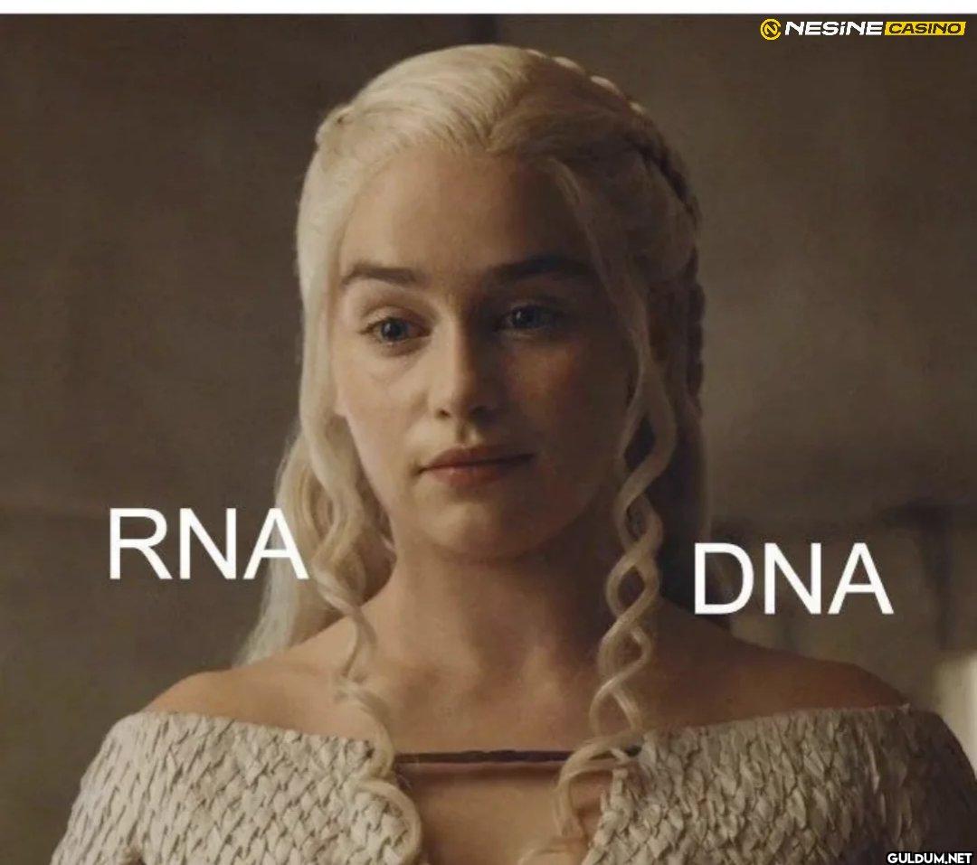 NESINE CASINO RNA DNA