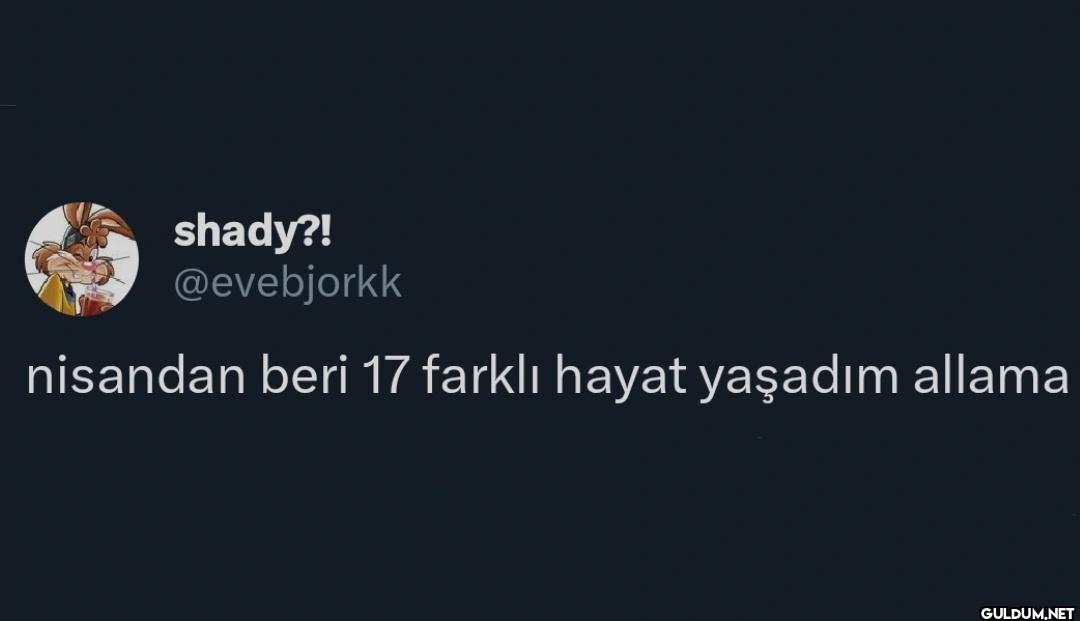nisandan beri 17 farklı...
