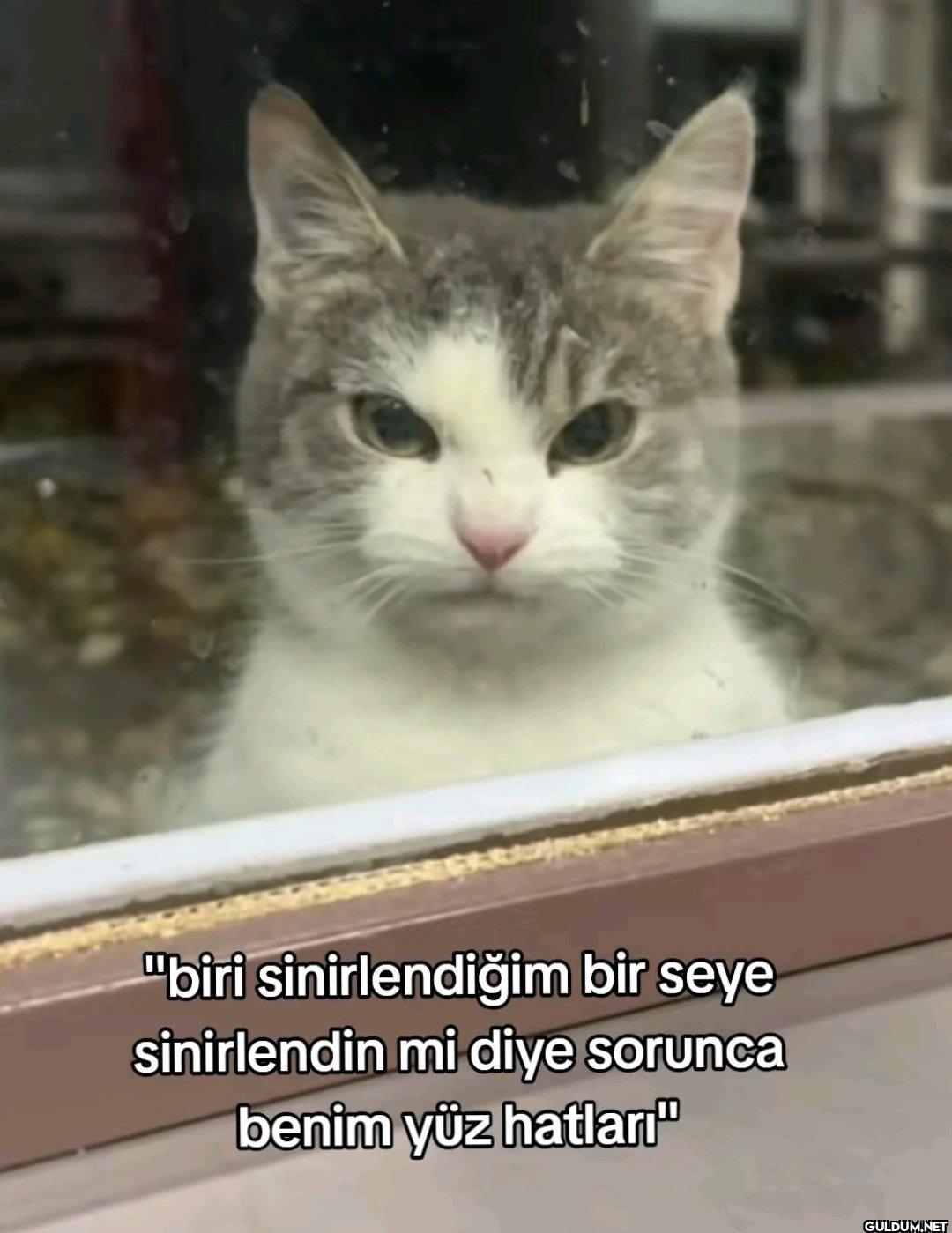 "biri sinirlendiğim bir...
