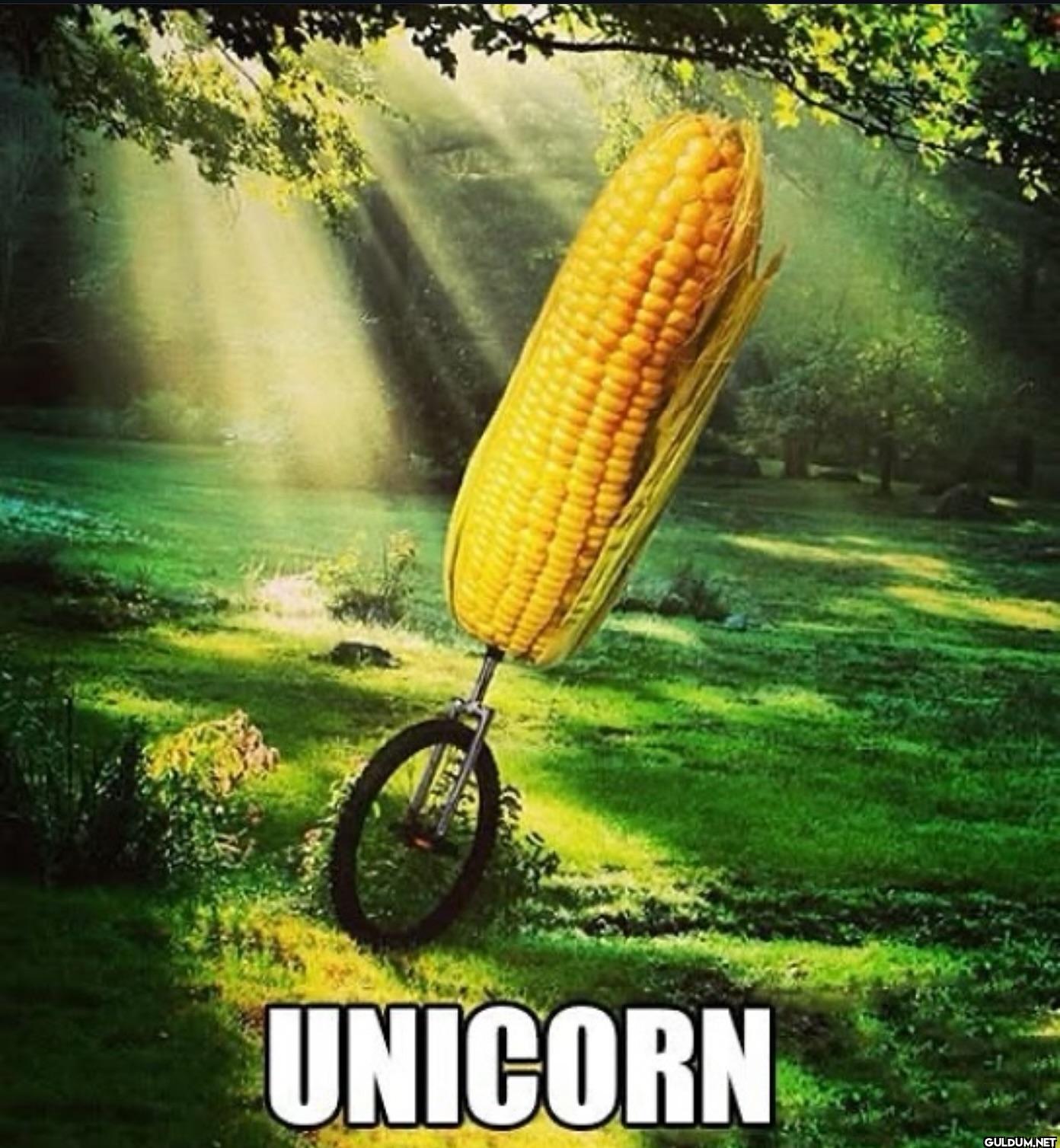 UNICORN