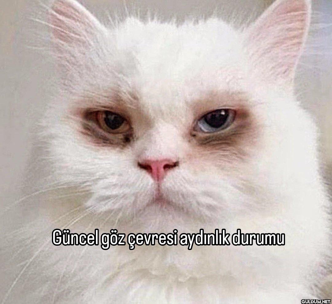 Güncel göz çevresi aydınlık durumu