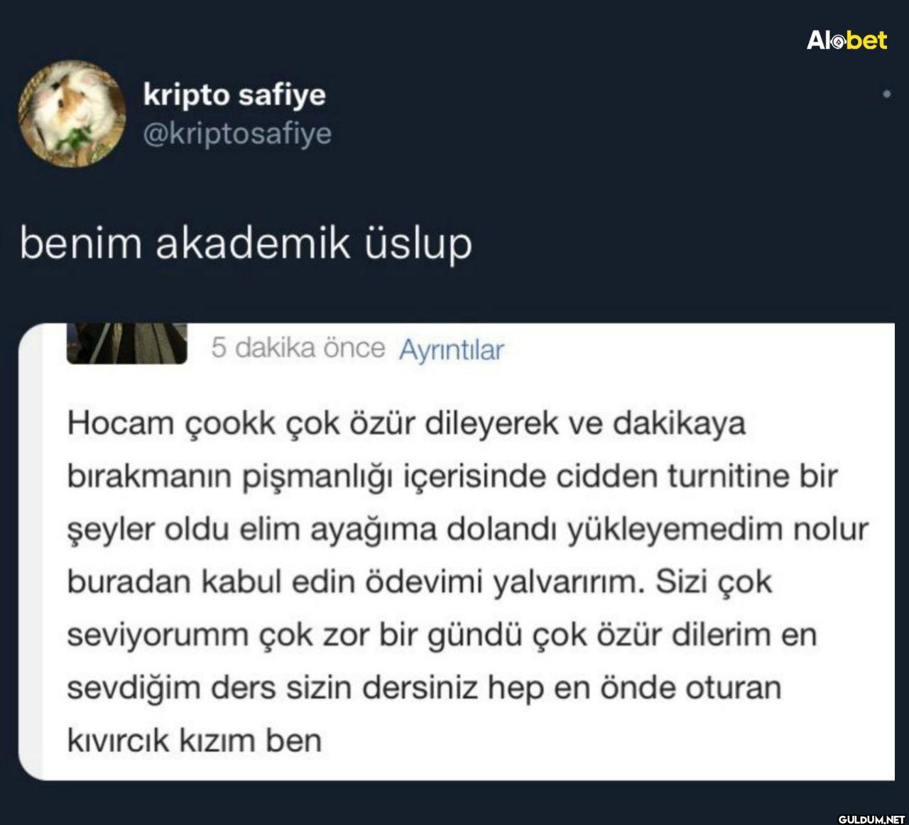 benim akademik üslup 5...