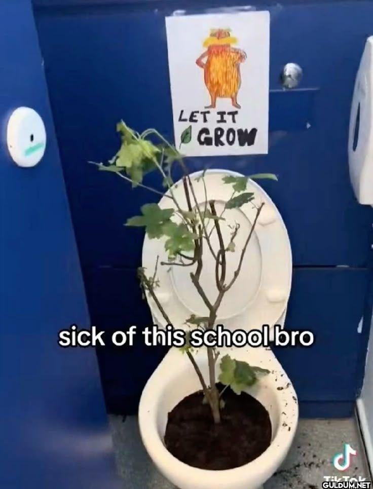 LET IT GROW sick of this schoolbro