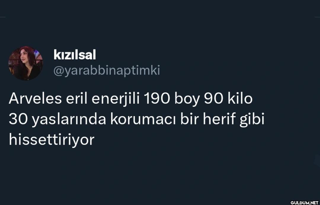 Arveles eril enerjili 190...