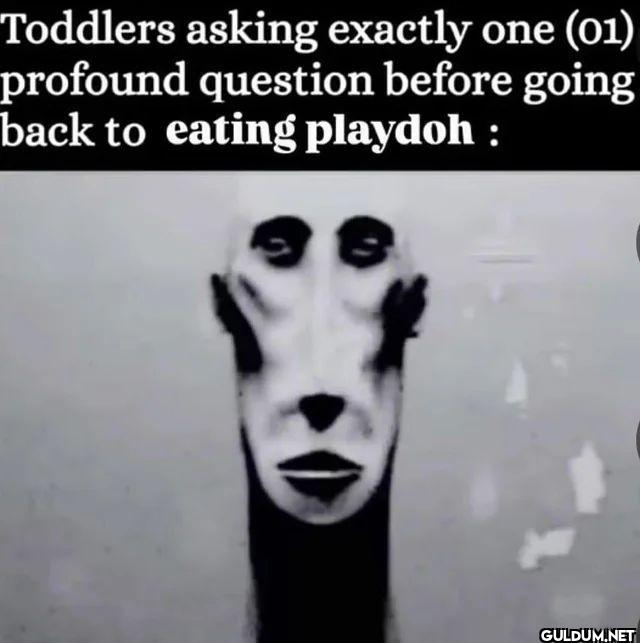 Toddlers asking exacty one...