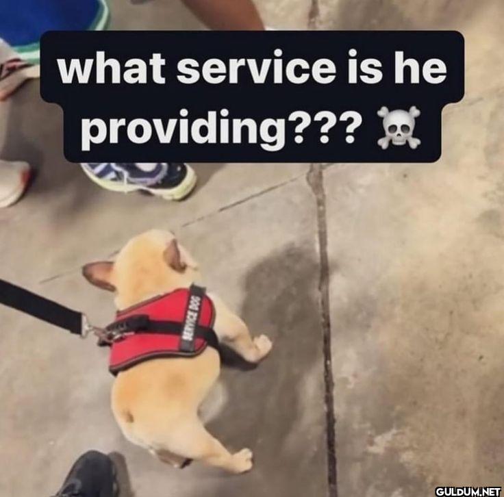 what service is he providing???