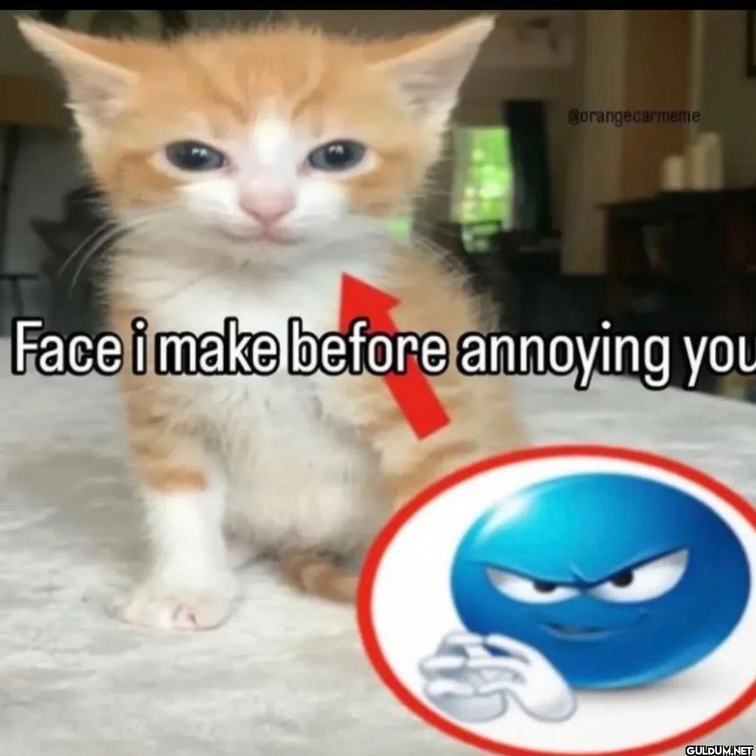 Face i make before annoying you