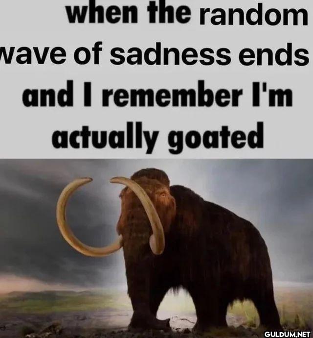 when the random wave of...