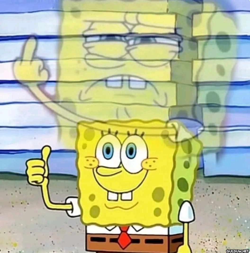 when you got a lot to say...
