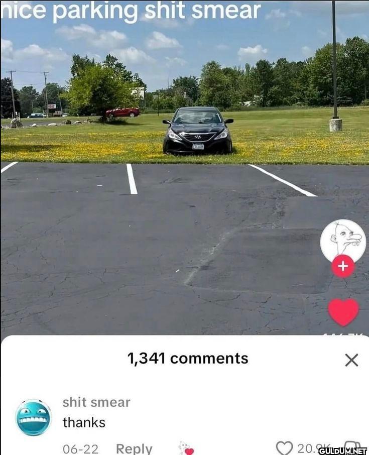 nice parking shit smear...