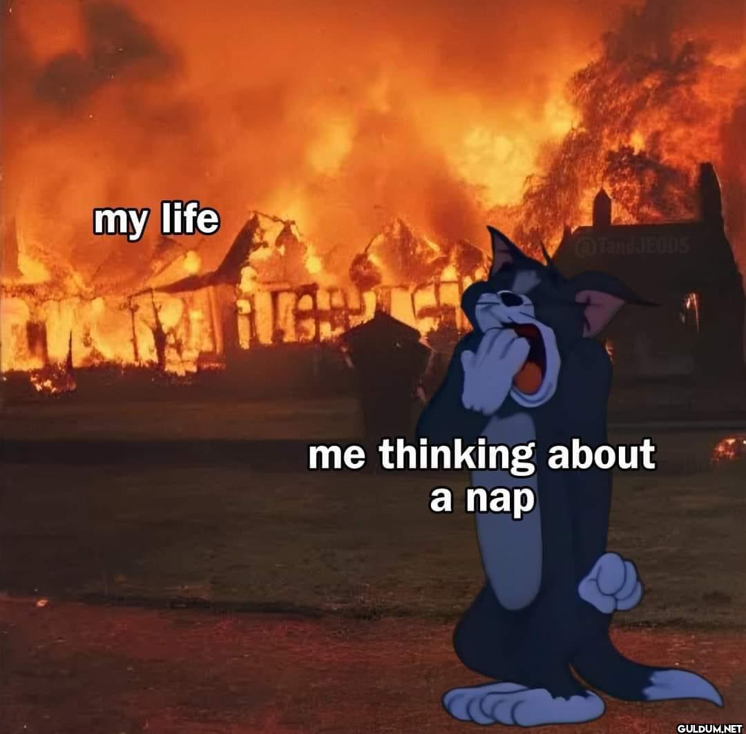 Real    my life TandJEODS...