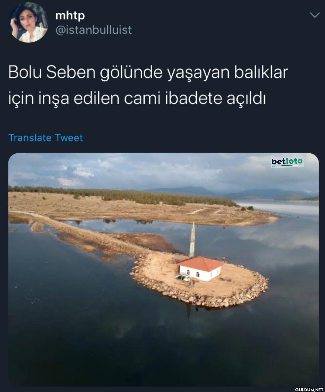 Bolu Seben gölünde yaşayan...
