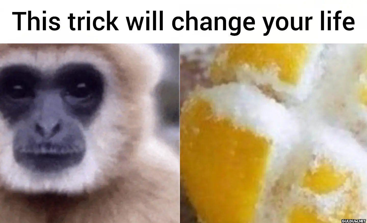 This trick will change your life