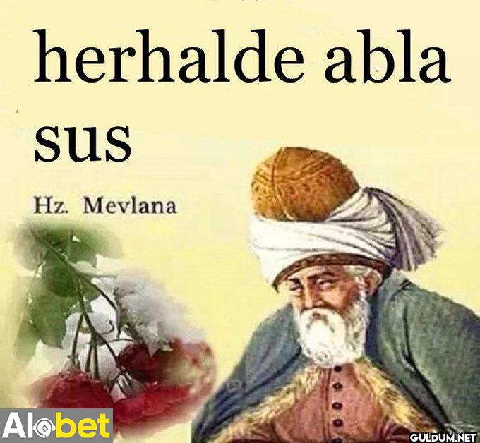 herhalde abla sus Hz....