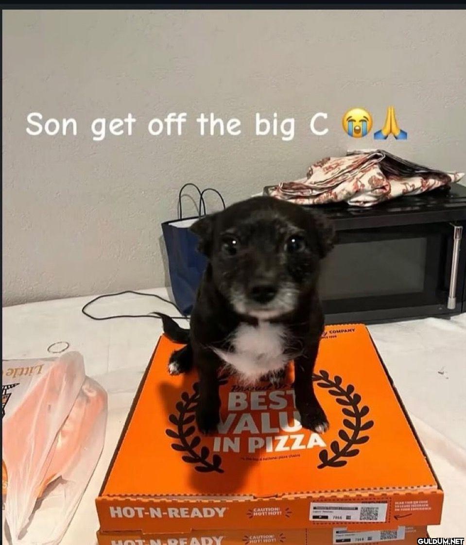 Son get off the big C BEST...
