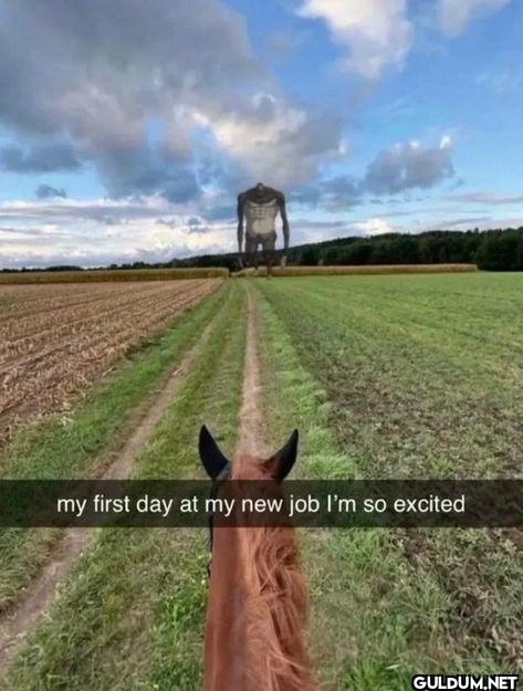 my first day at my new job...