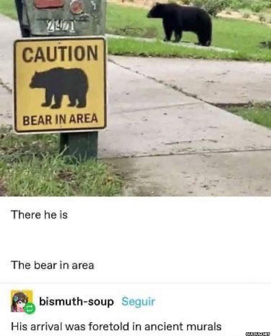 2421 CAUTION BEAR IN AREA...