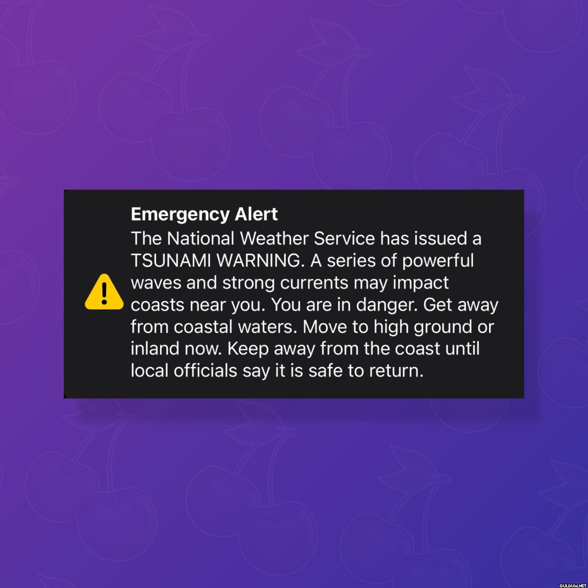 Tsunami warnings issued...