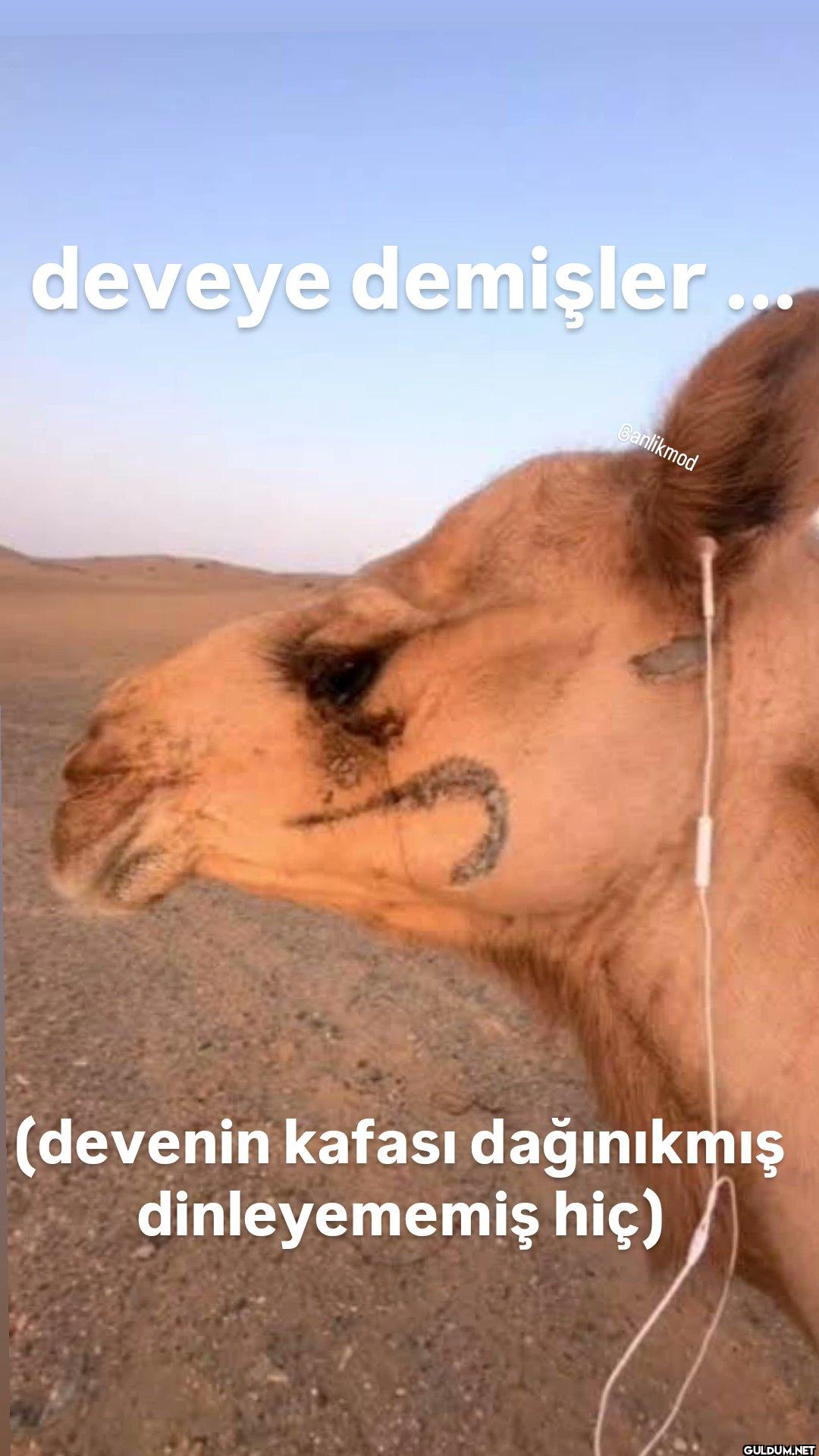 deveye demişler Banlikmod...