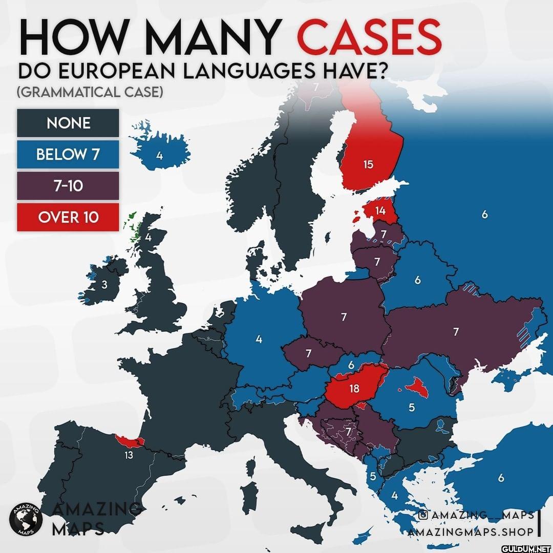 Grammatical cases in...