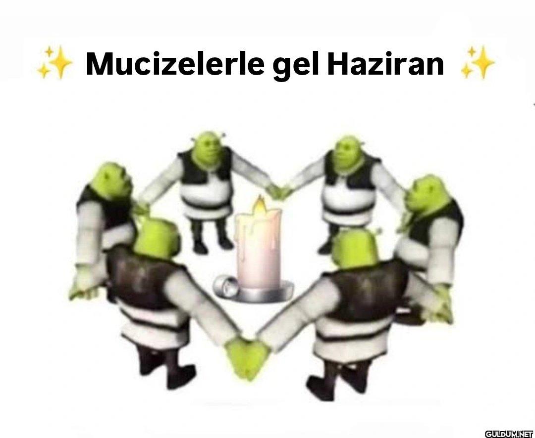 Mucizelerle gel Haziran