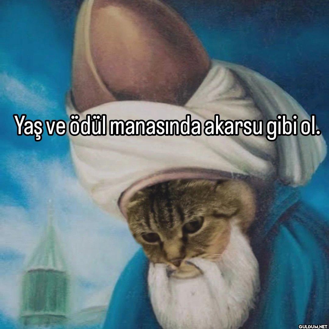 Yaş ve ödül manasında...
