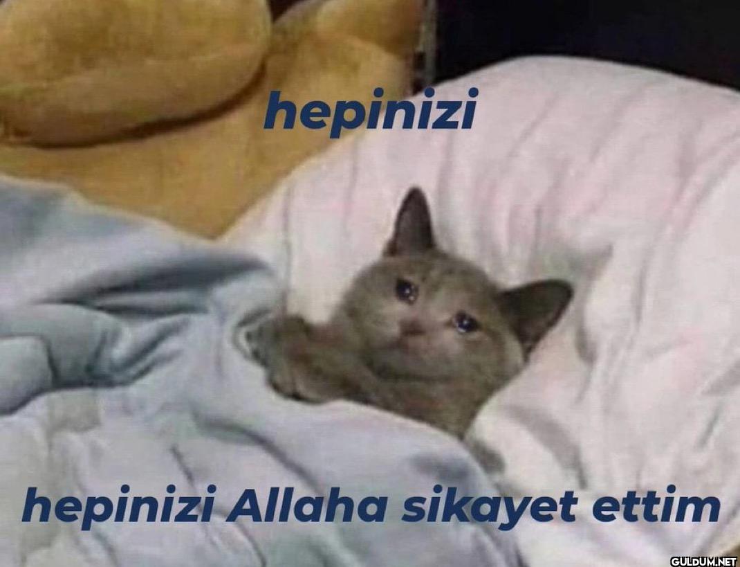 hepinizi hepinizi Allaha...