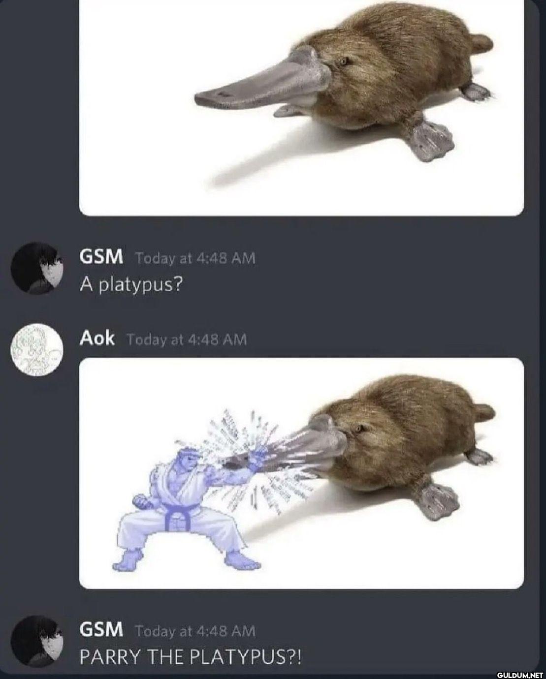 GSM Today at 4:48 AM A...