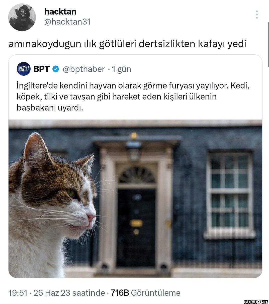 aminakoydugun ılık...