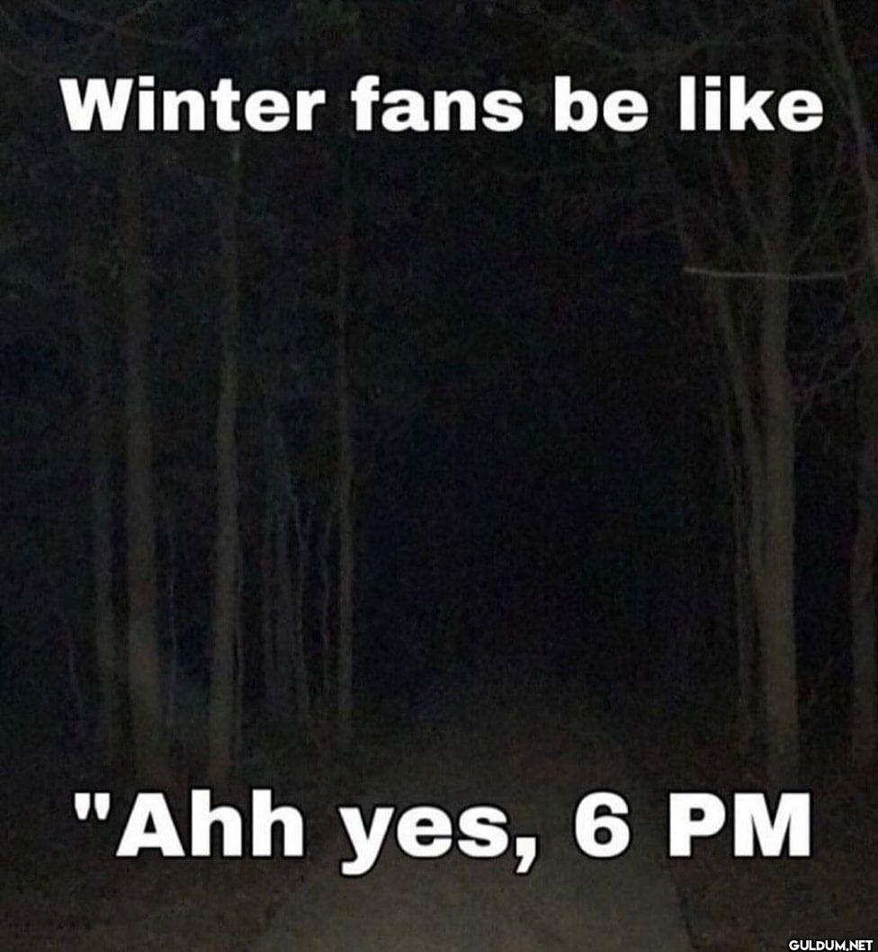 Winter fans be like "Ahh yes, 6 PM