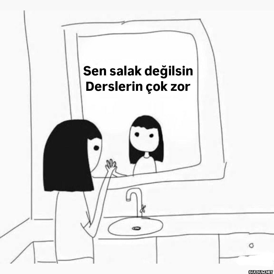 Sen salak değilsin...