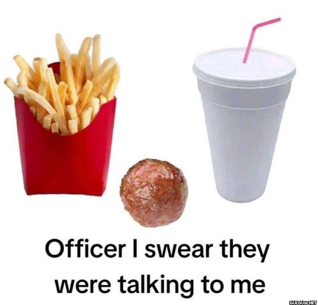Officer I swear they were...