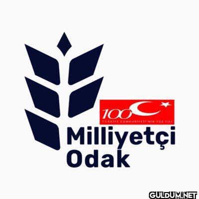 SolcuGazete’nin ardından...