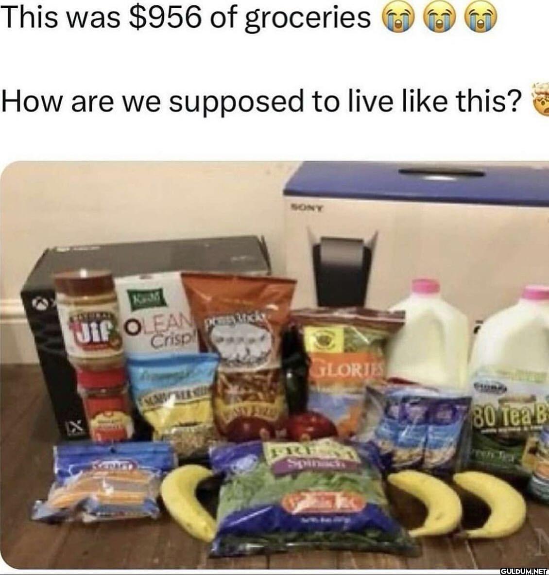 This was $956 of groceries...