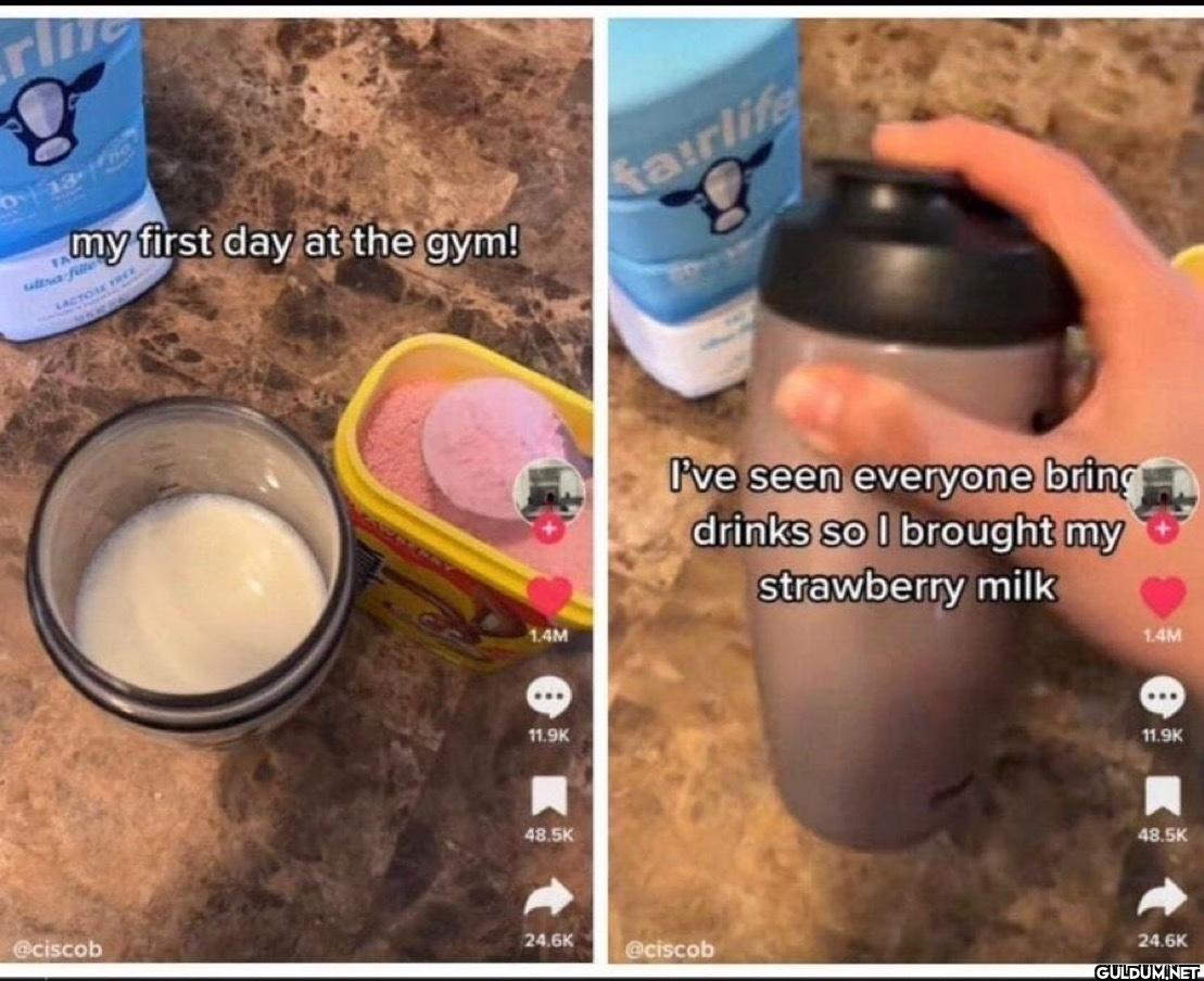 SA 13 ultra-fille LACTOSE...