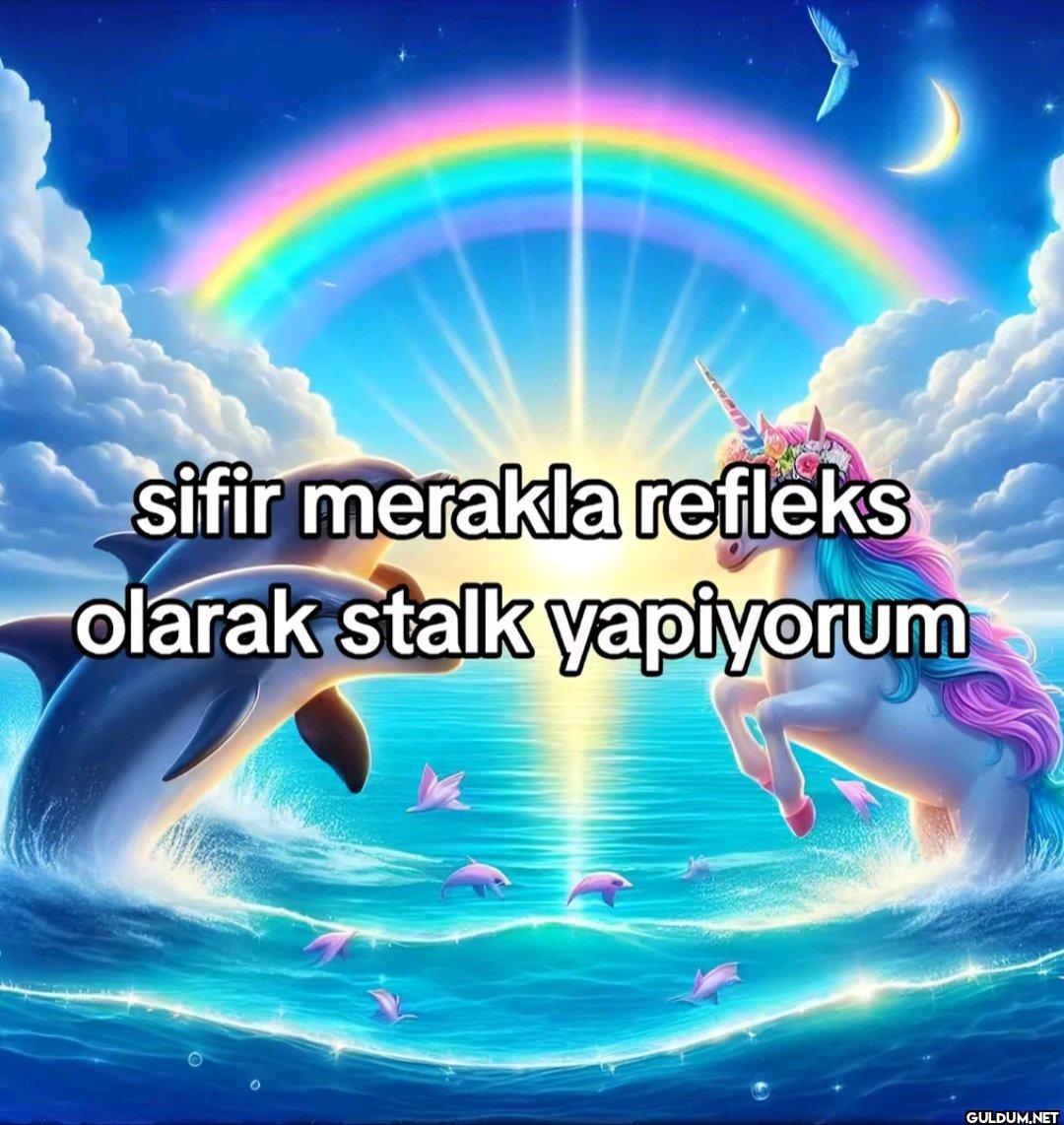 sifir merakla refleks...
