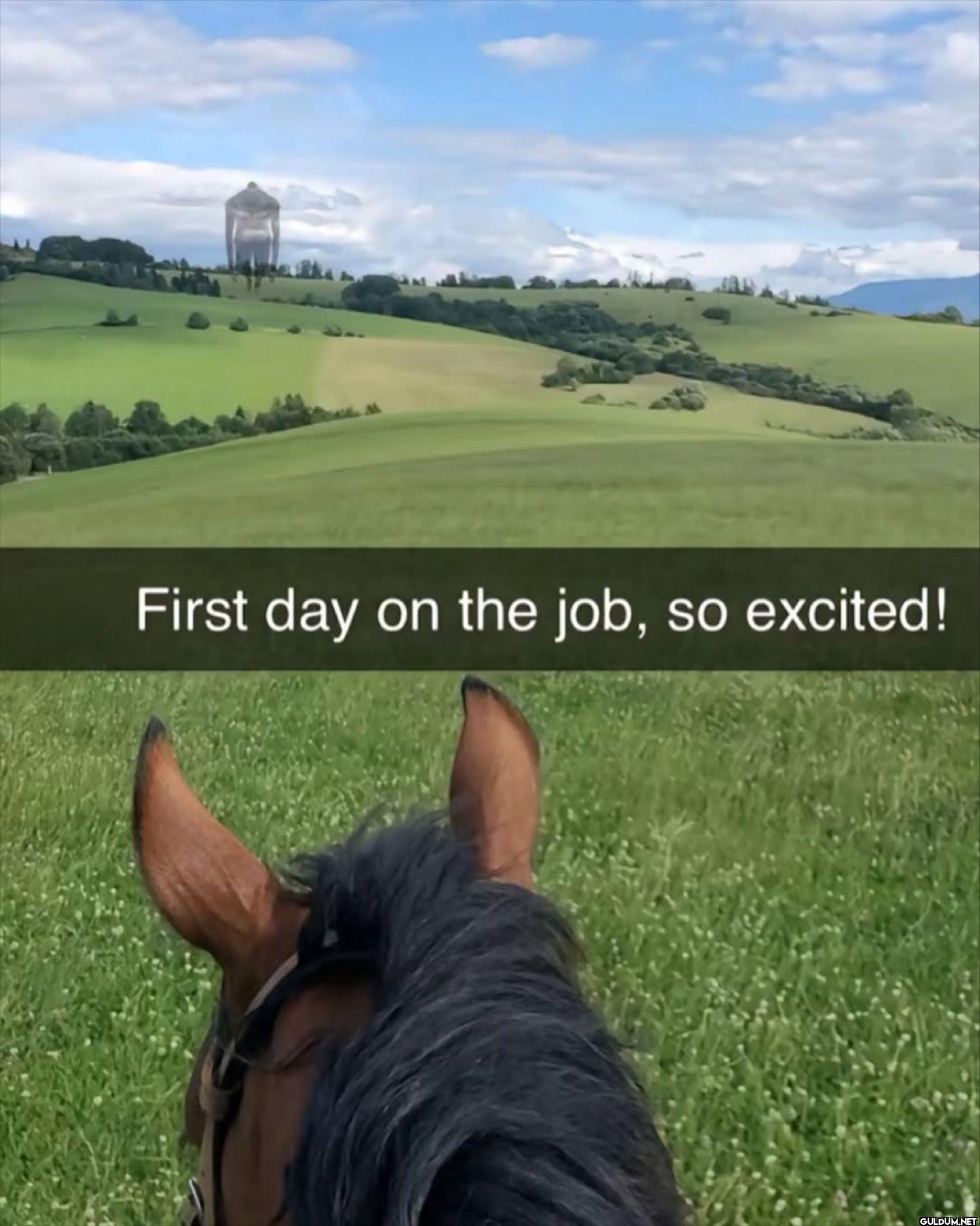 First day on the job, so excited!