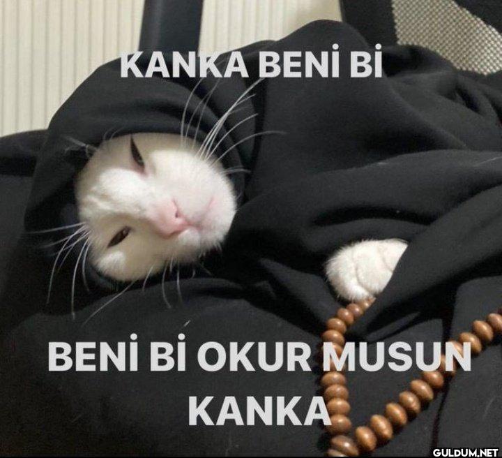 KANKA BENİ Bİ BENİ Bİ OKUR...