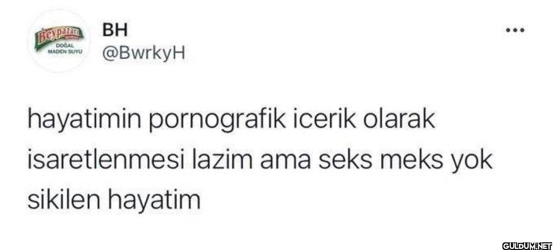 hayatimin pornografik...