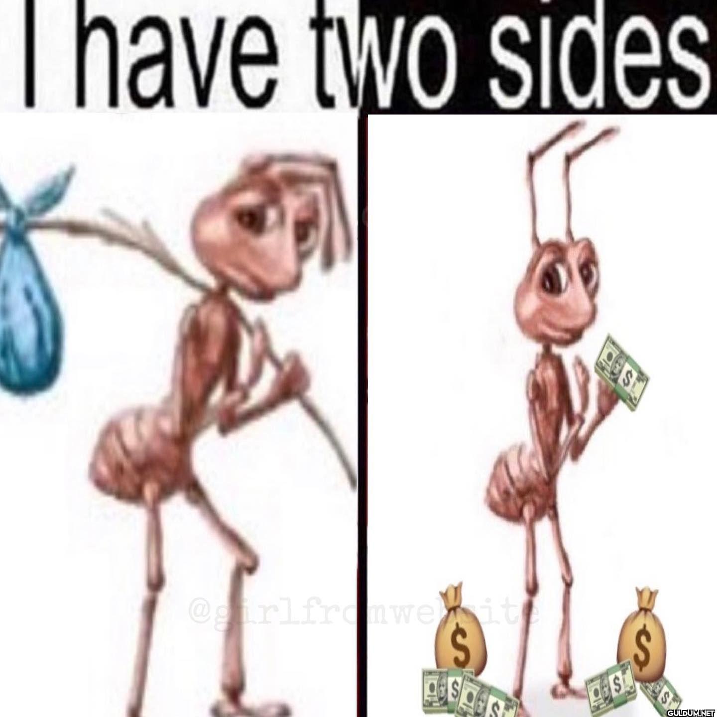 I have two sides