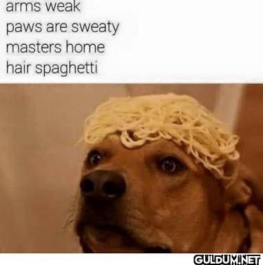arms weak paws are sweaty...