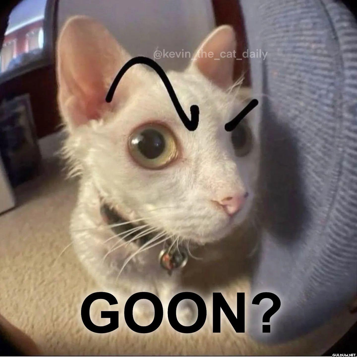 GOON?
