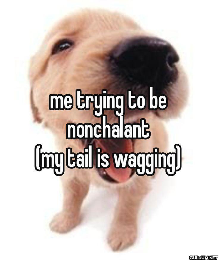 me trying to be nonchalant...