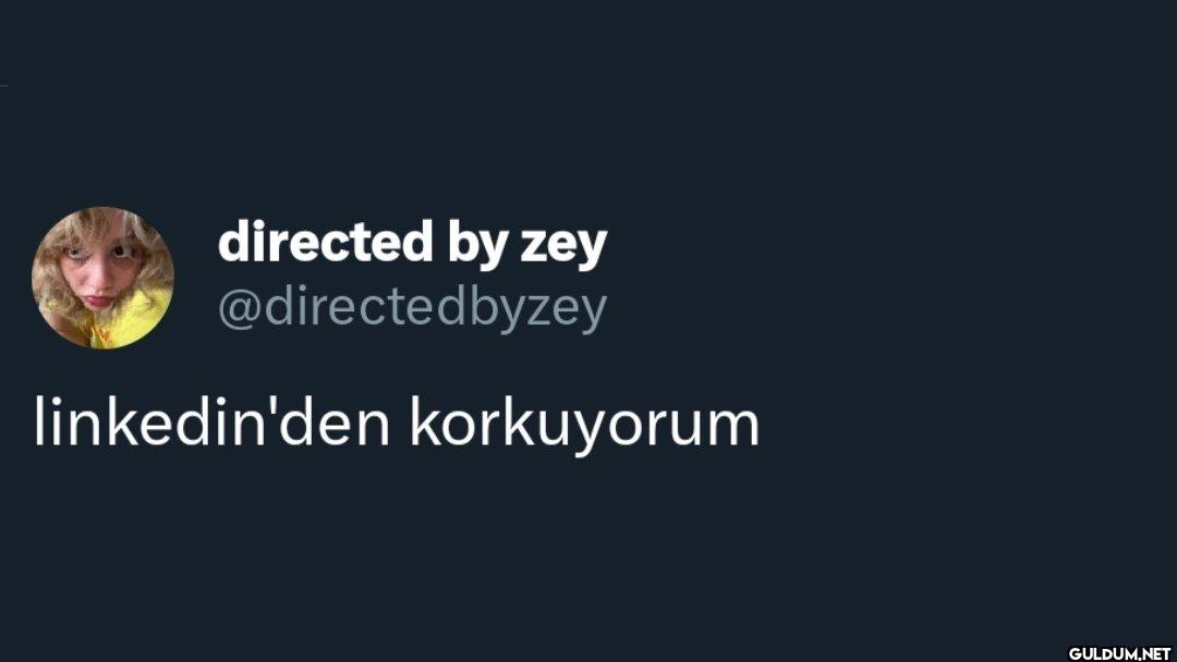 linkedin'den korkuyorum