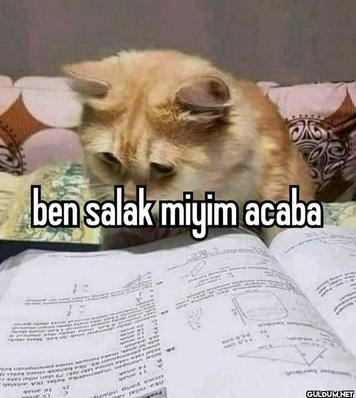 #tyt25 #yks2025    Jika...