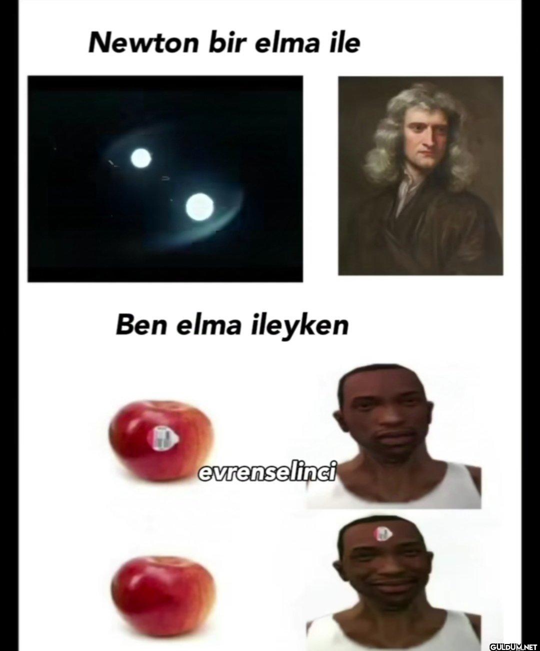 Newton bir elma ile Ben...