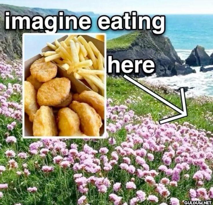 ︎ ︎ ︎ ︎ ︎ ︎ ︎    imagine...