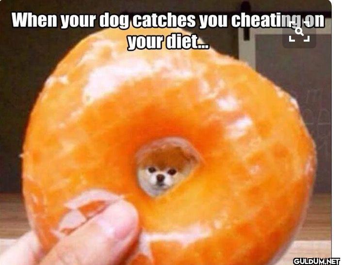 When your dog catches you...