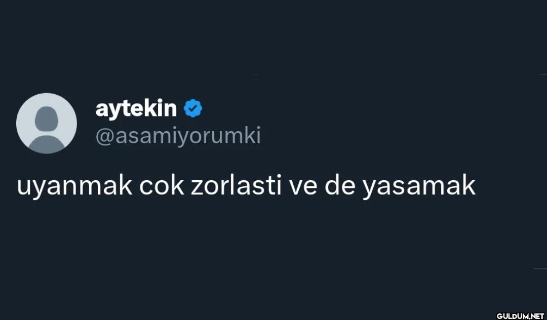 uyanmak cok zorlasti ve de yasamak