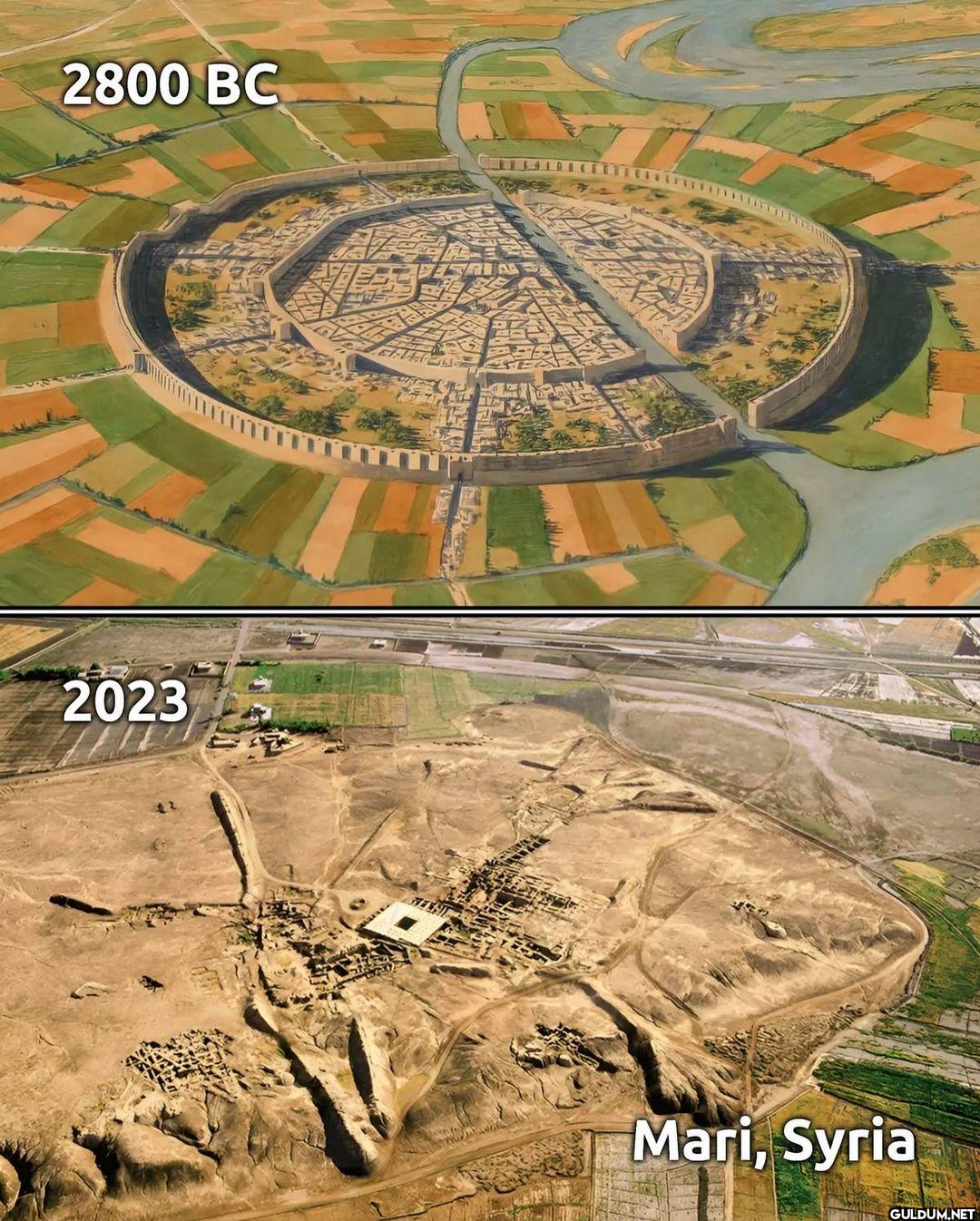 2. Mari, Syria    2800 BC...